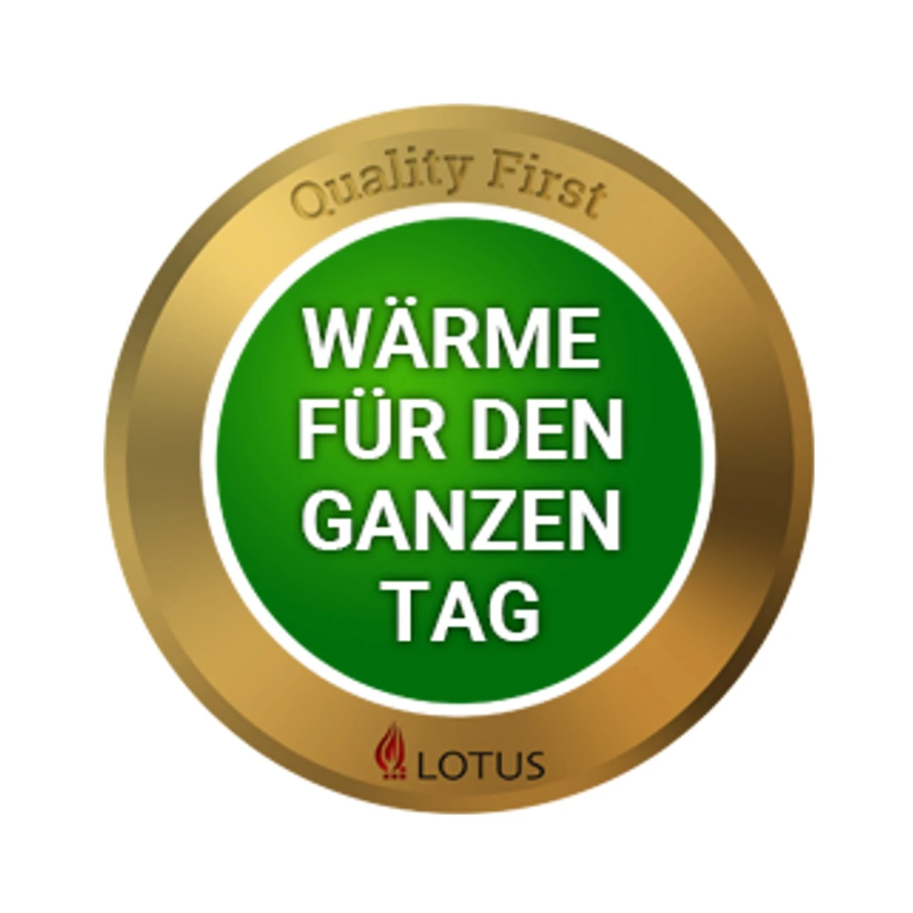 Maestro 1 Magic Speckstein Speicher-Kaminofen 6kW 5 Maestro 1 Magic Speckstein Speicher-Kaminofen 6kW – Bild 3